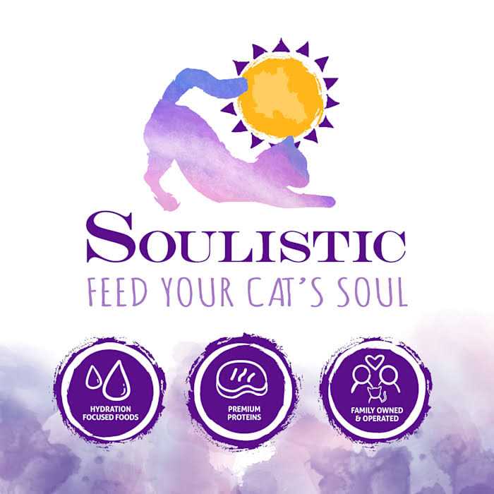 Wet Cat Food N9096