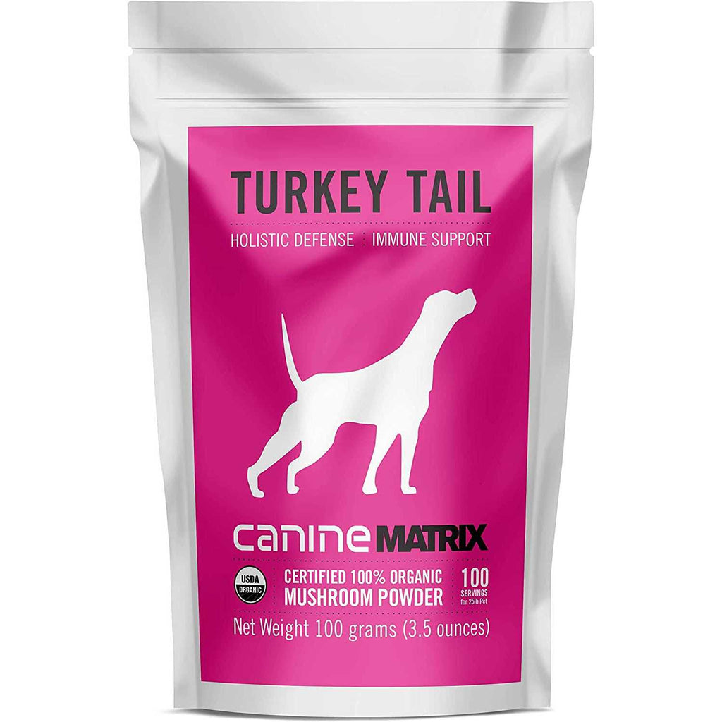 Turkey Tail Mushroom Supplement V33574