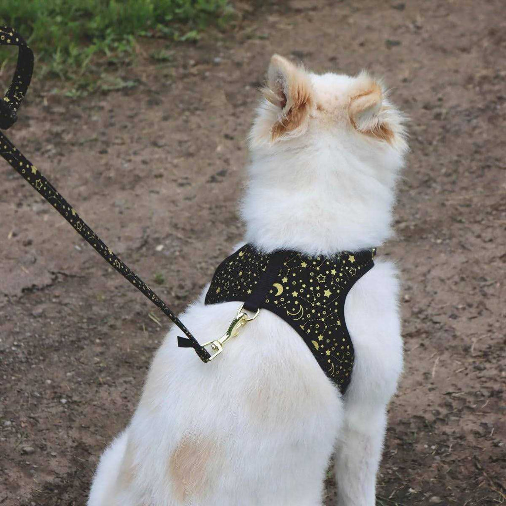 Adjustable Metallic Dog Harness U8195