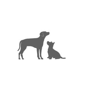 Dog Collar D96229