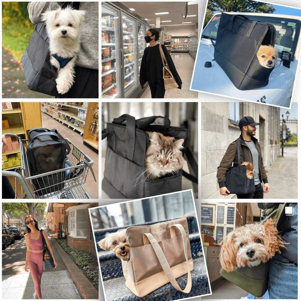 Pet Tote Bag for Small Dogs and Cats Y64144