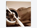 Canvas Art Picture O880630
