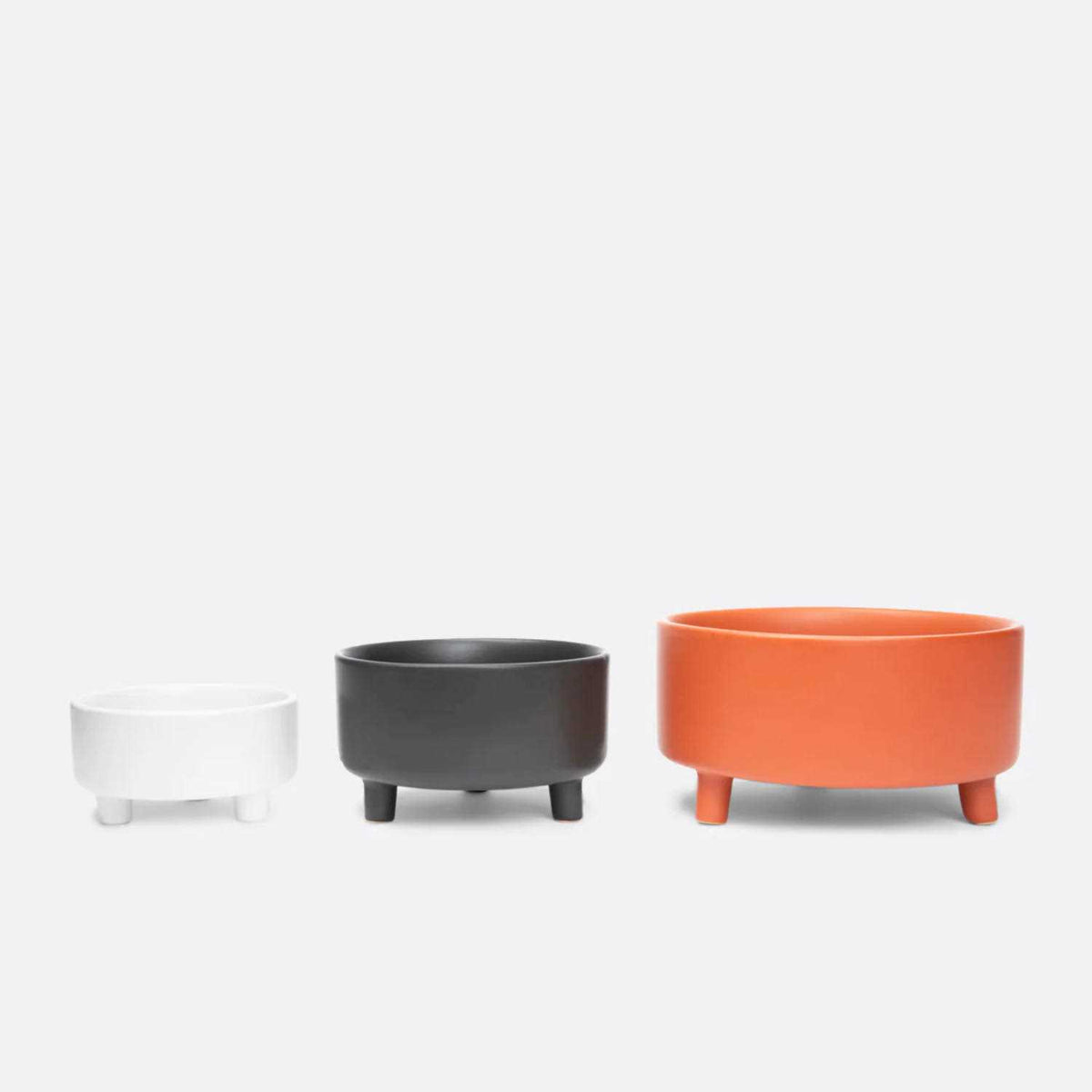 Ceramic Dog Bowl J91622