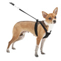Mesh Non Pull Dog Harness W158670