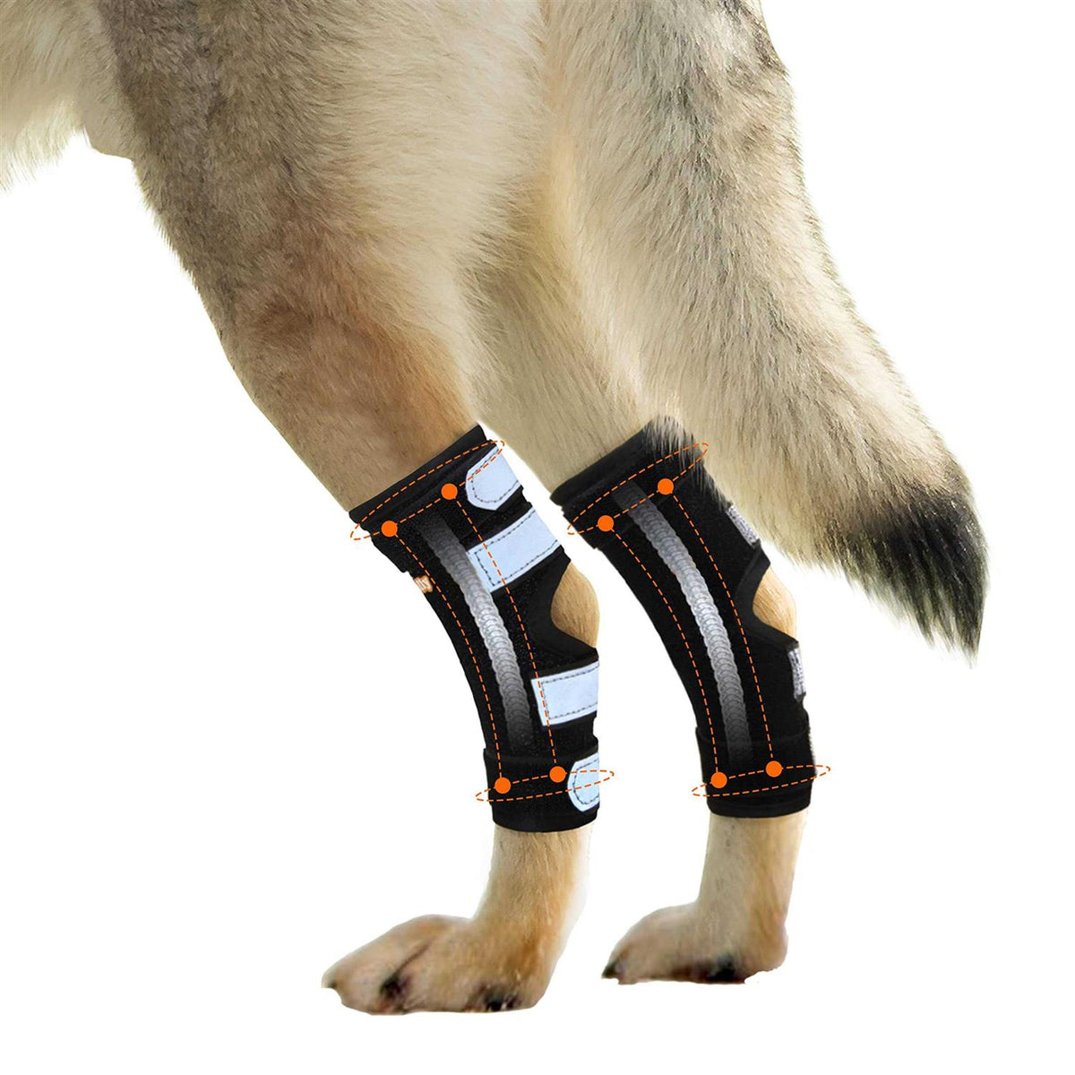 Dog Rear Leg Hock Metal Spring Strips Q951384