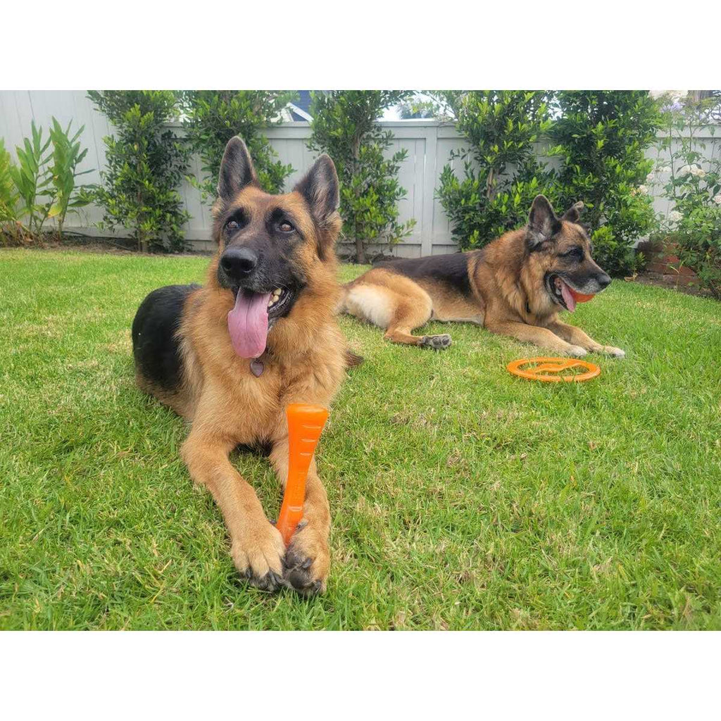 Dog Toy U688