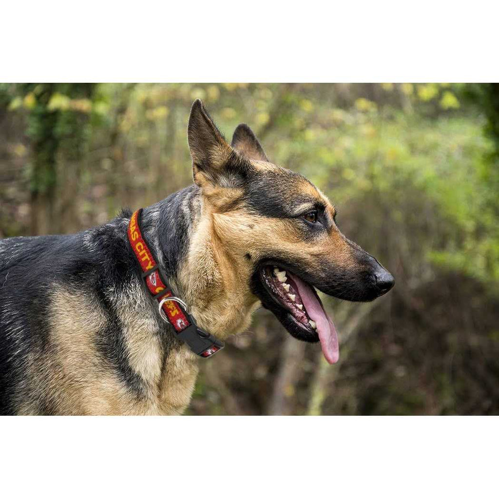 Dog Collar D155518