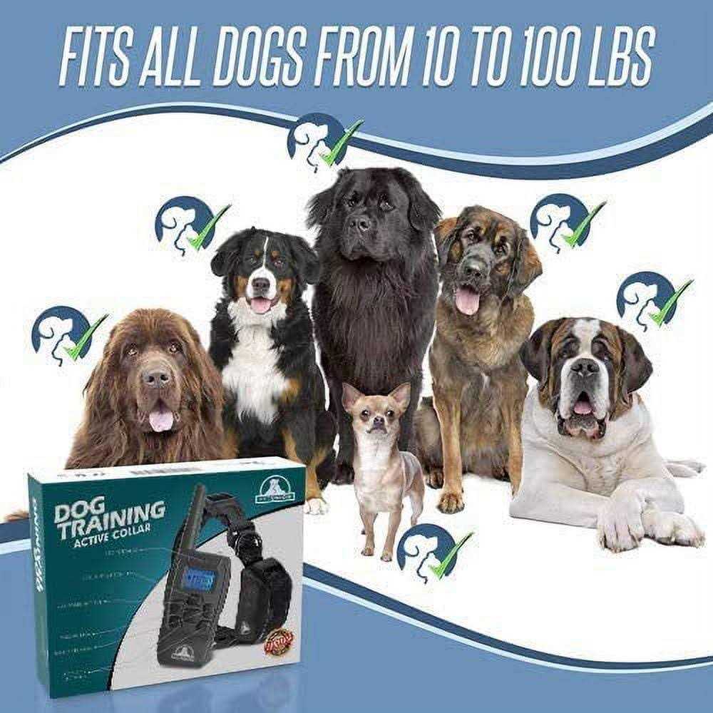 Dog Training Shock Collar with Remote O129