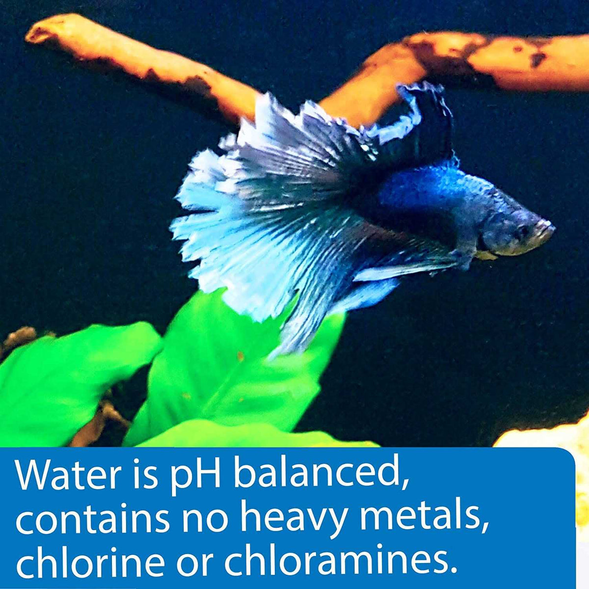 Betta Water L92177