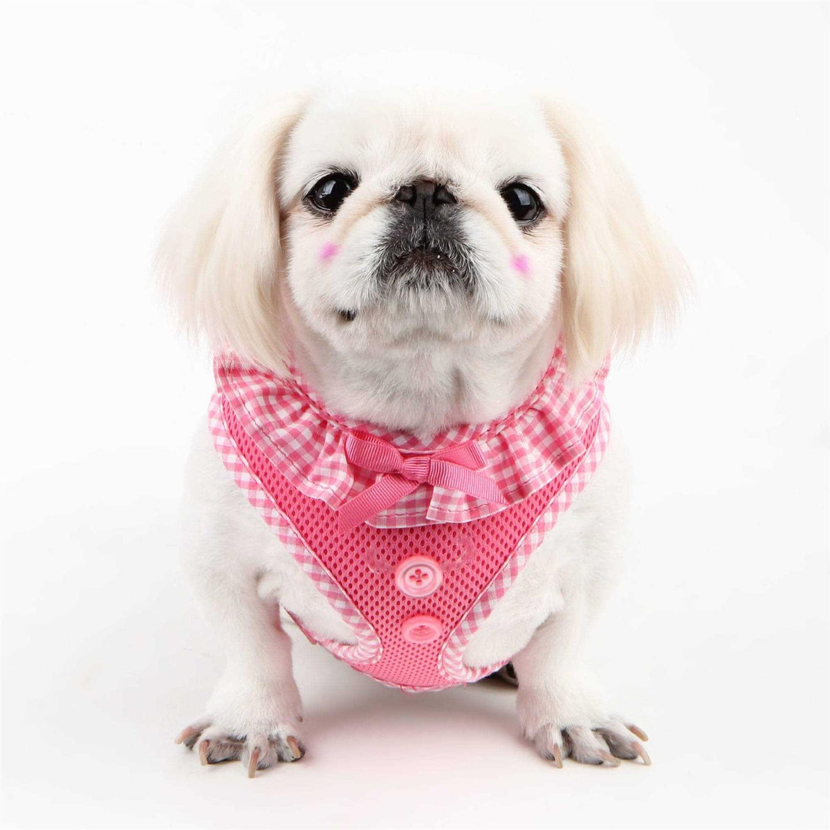 Dog Harness Q680