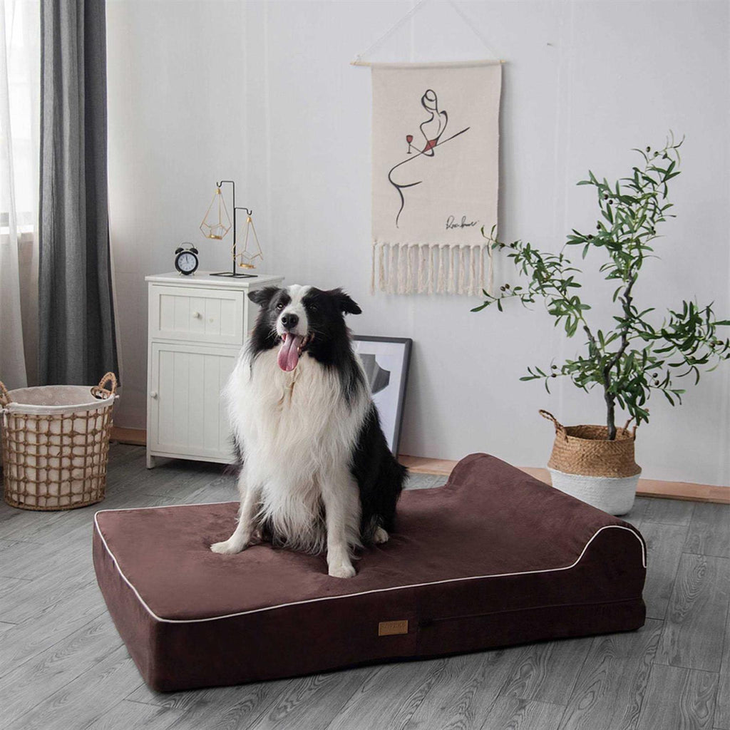 Dog Bed with Pillow Memory Foam B386331