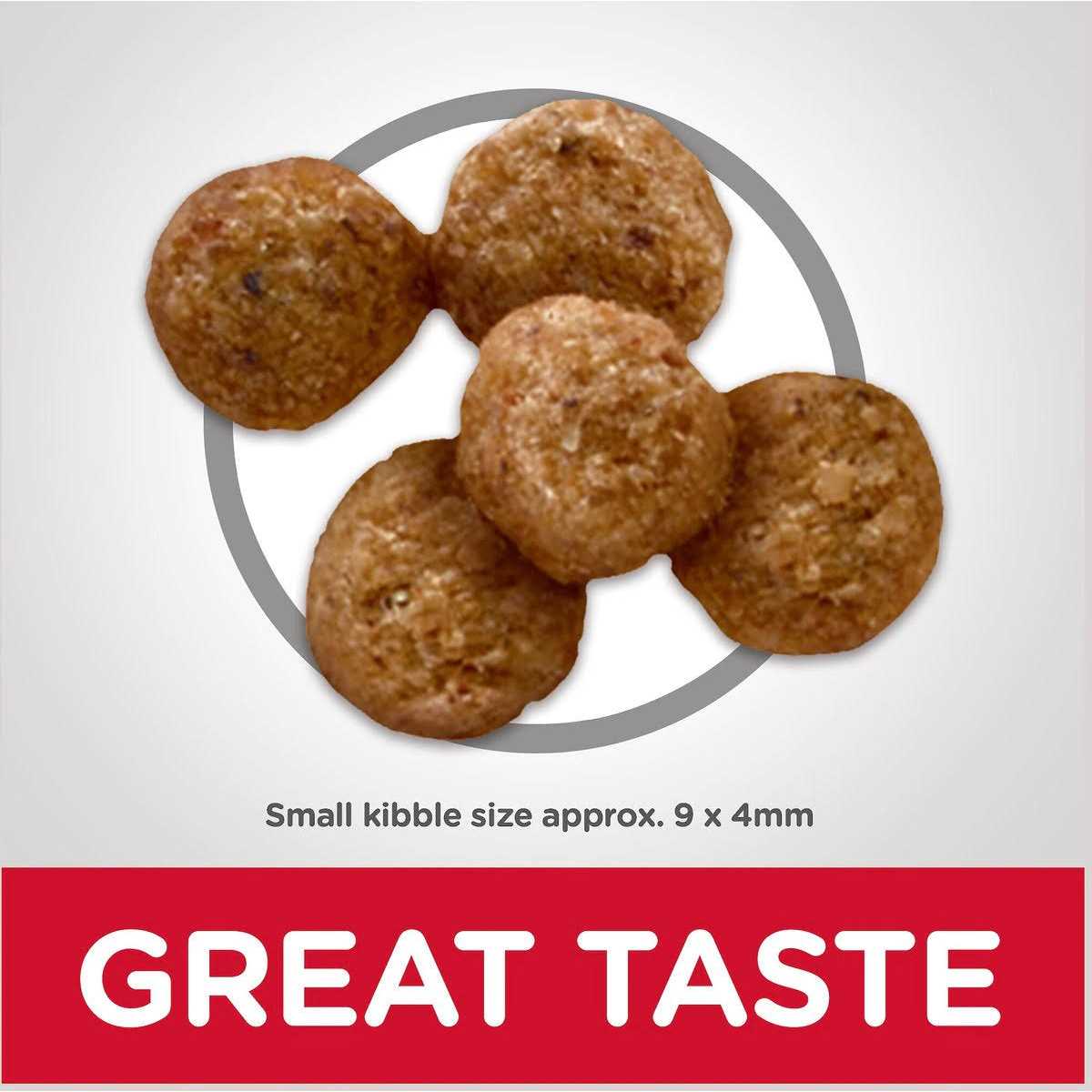 Dry Dog Food I5998