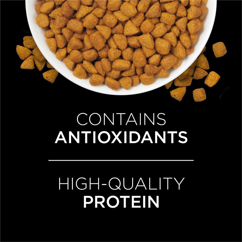 Urinary Dry Cat Food E307032