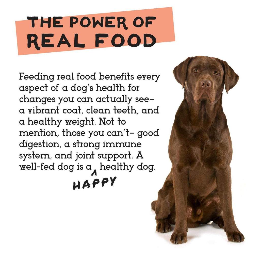 Freeze-Dried Chicken & Turkey Dog Food C6549