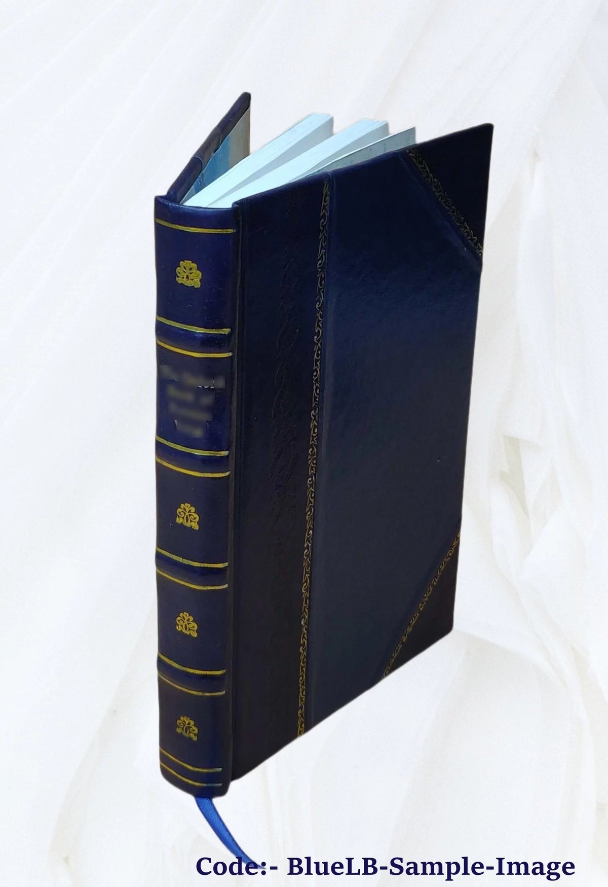 Leather Bound Encyclopedia of Fine Arts D4224