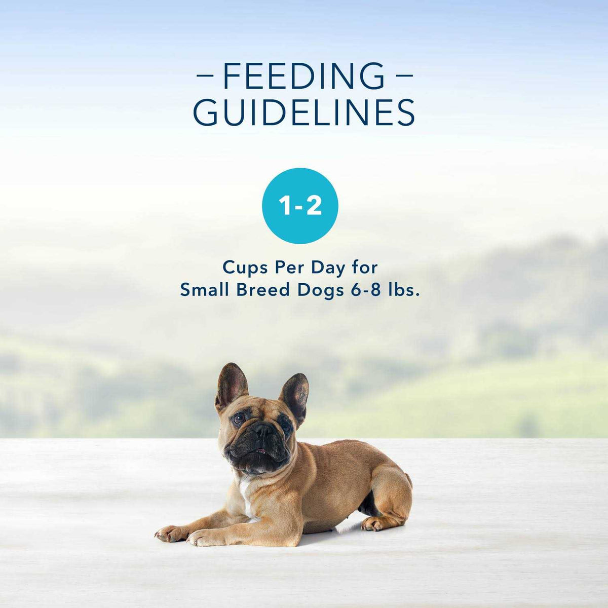 Chicken Flavor Pate Small Breed Dog Food R314048