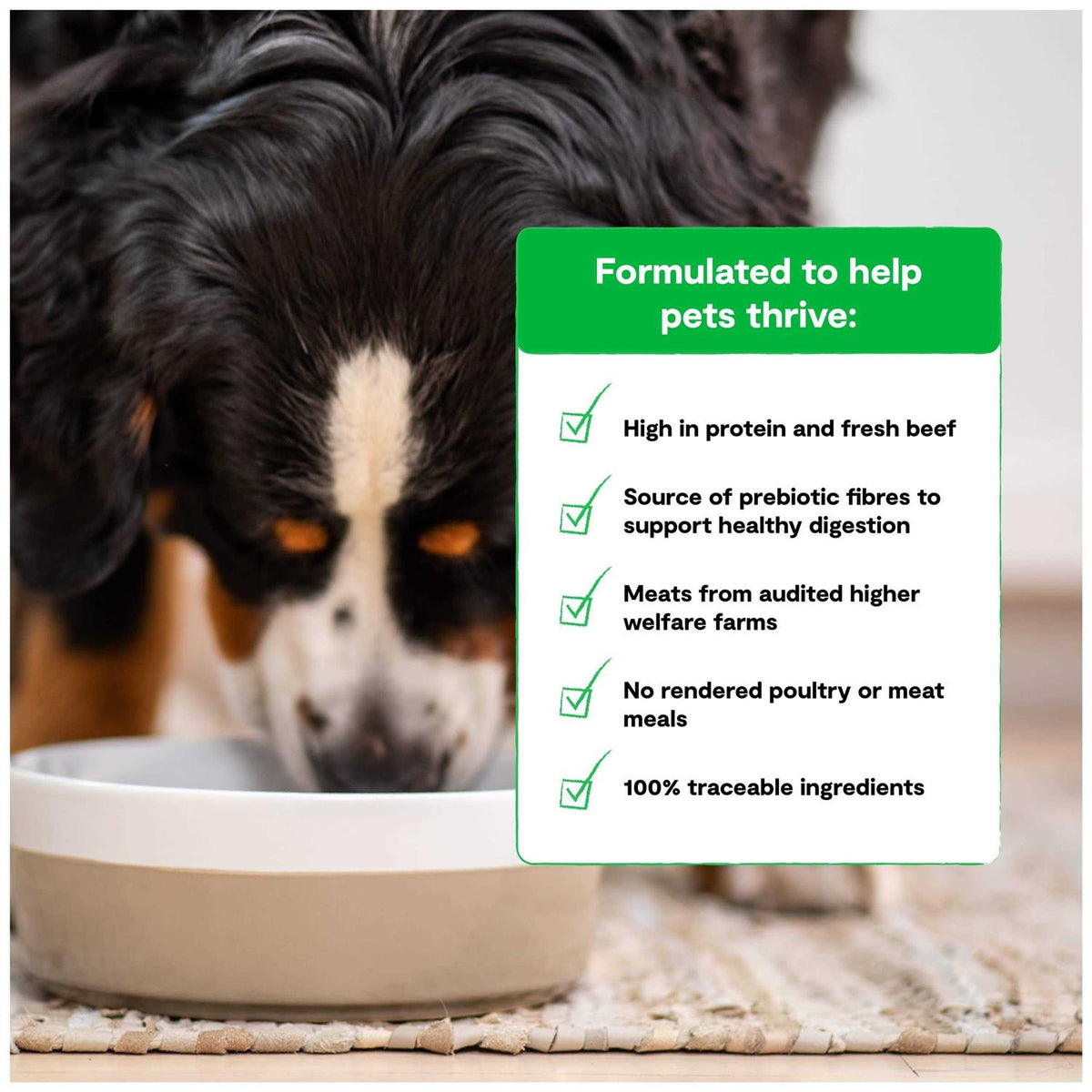 Grain Free Grass Fed Beef Dry Dog Food F4973
