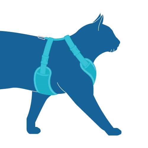 Cat Harness D242302