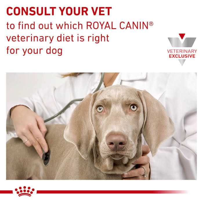 Hydrolyzed Protein Dry Dog Food M20658