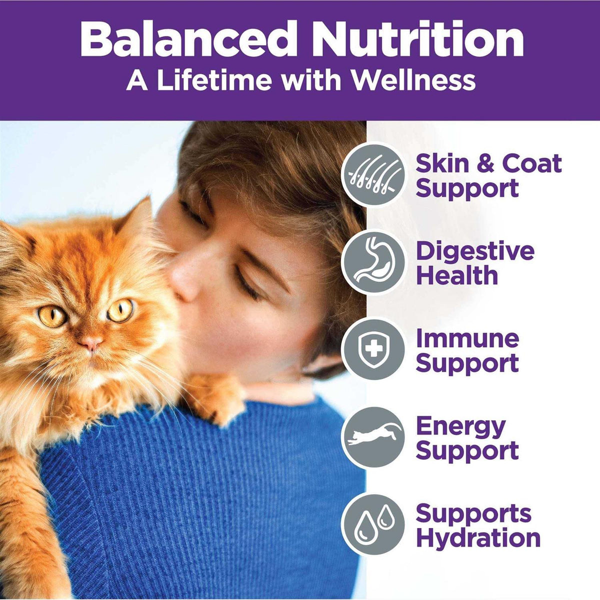 Chicken & Turkey Pate Cat Food Variety Pack K7397
