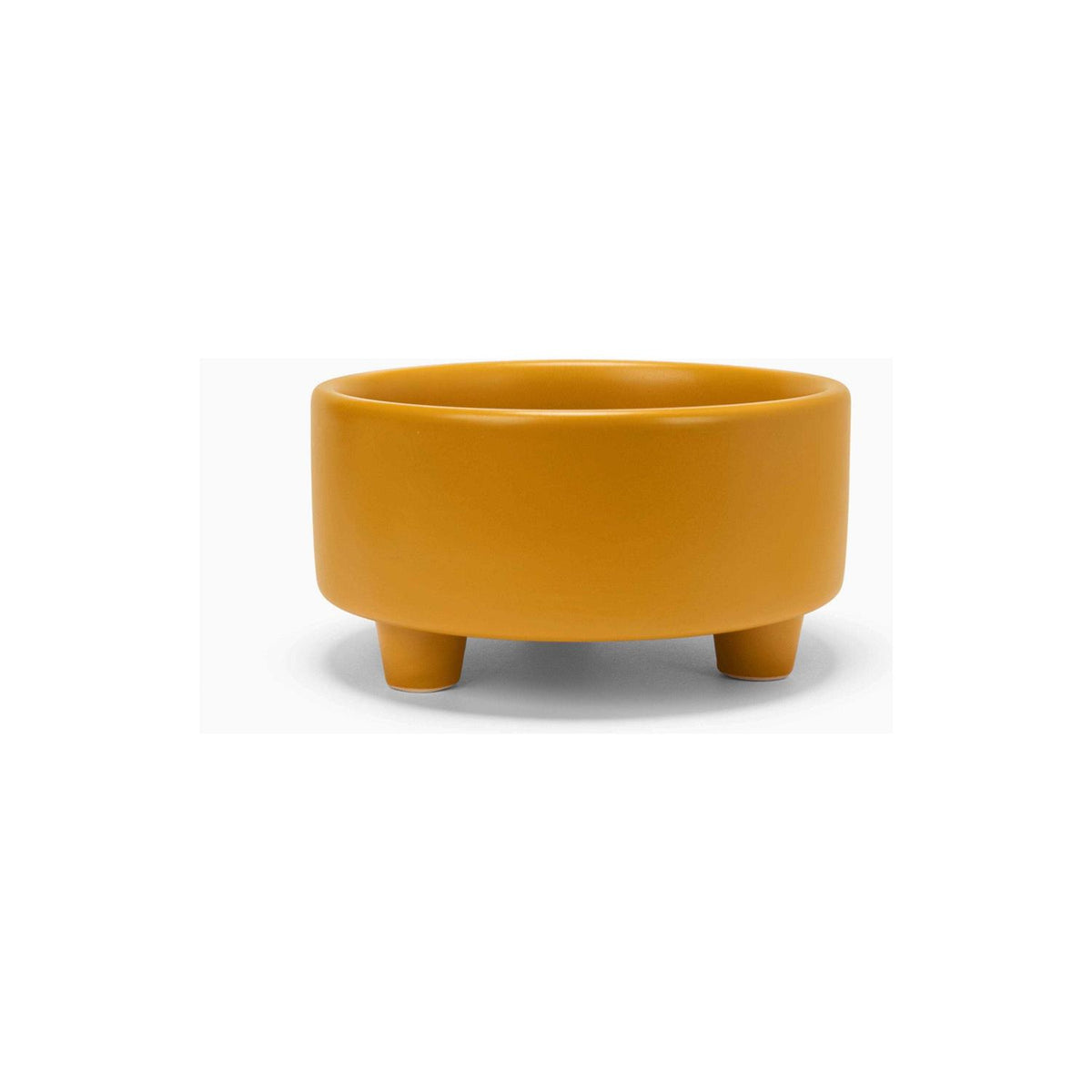 Ceramic Dog Bowl J91622