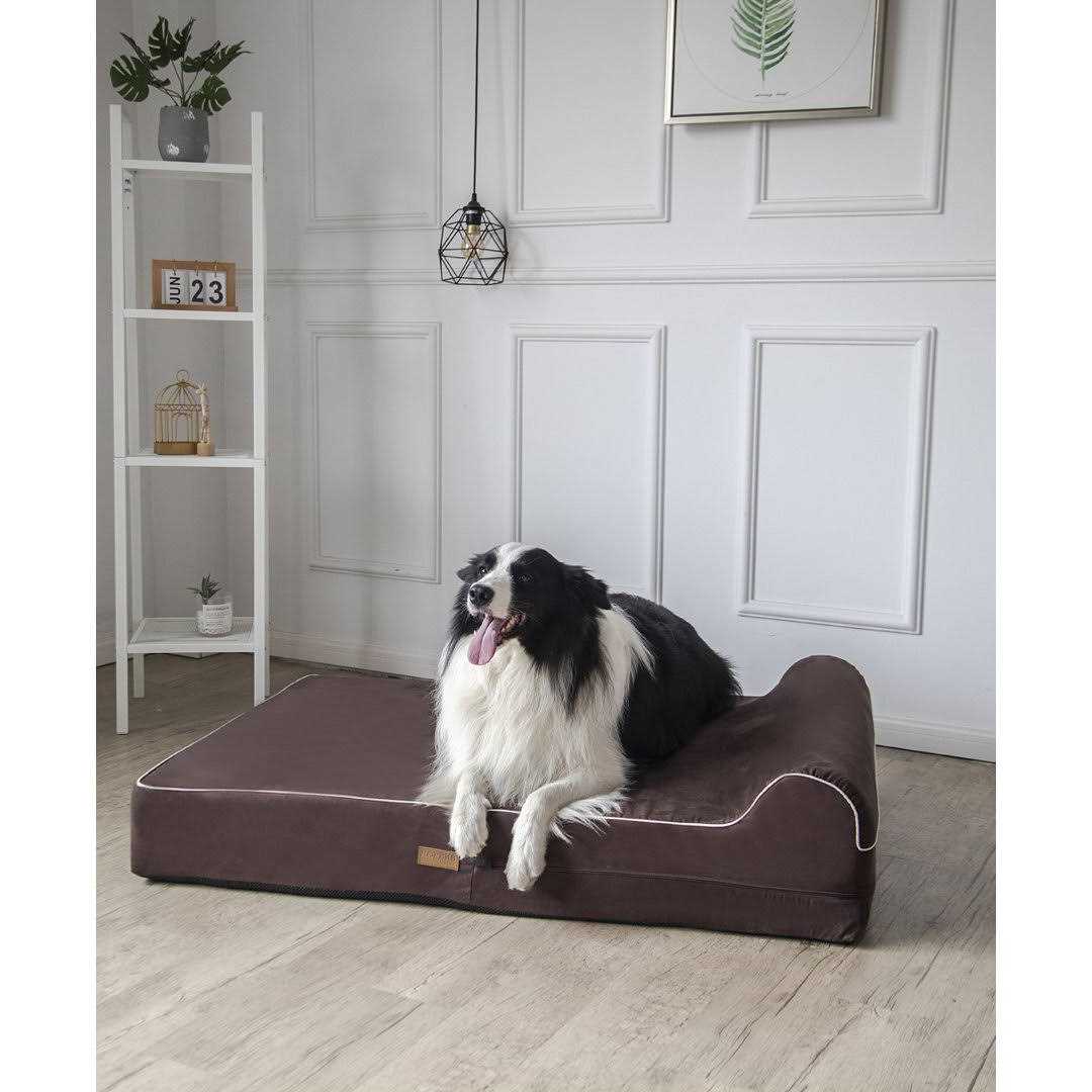 Dog Bed with Pillow Memory Foam B386331