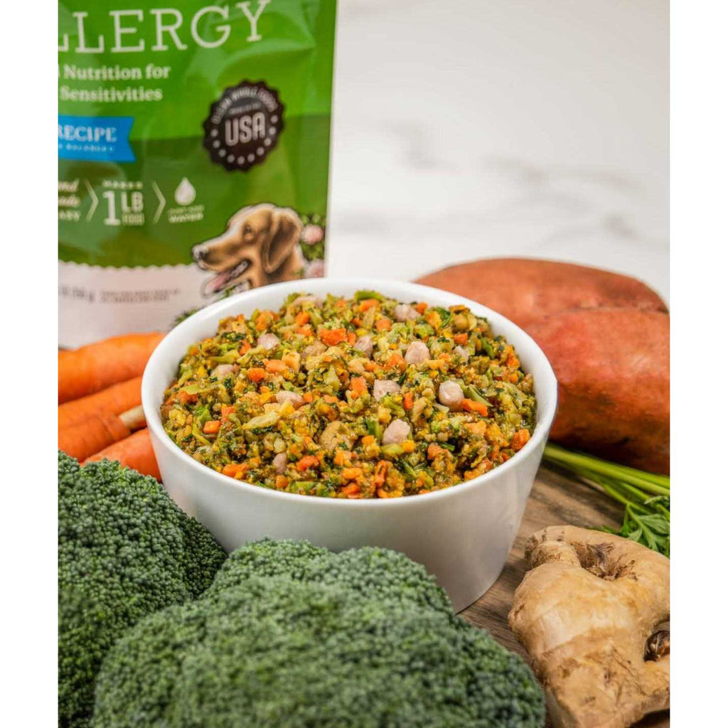 Salmon Recipe Human Grade Dog Food Y317