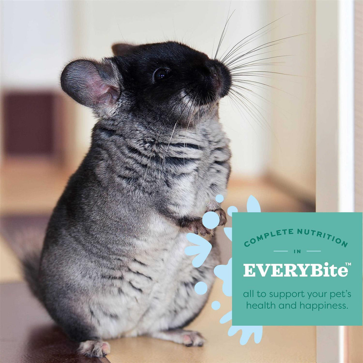 Chinchilla Food U5320