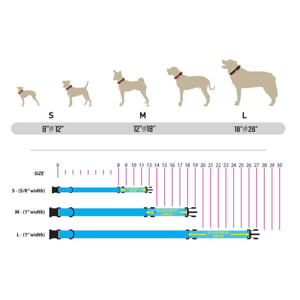 Dog Collar K51874