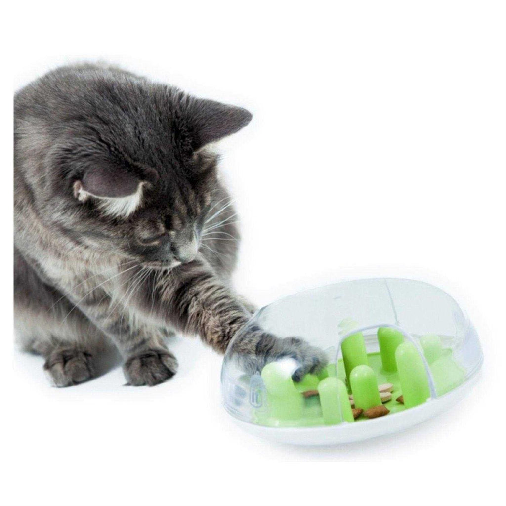 Cat Treat Maze P24398