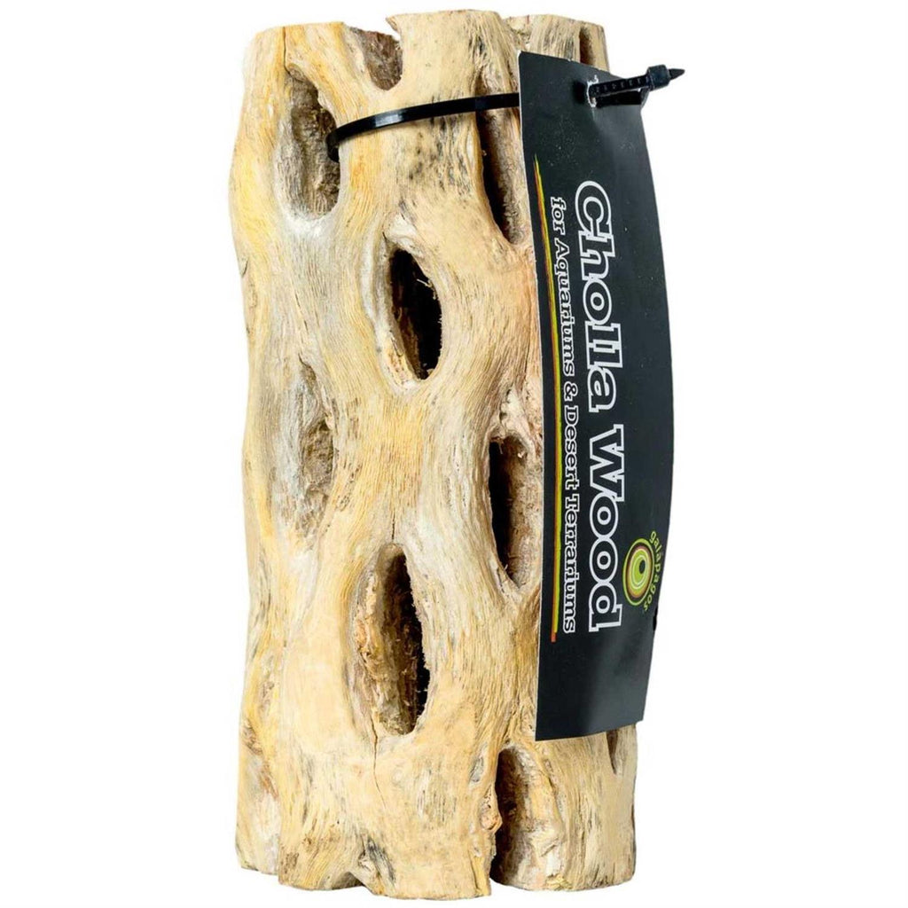Cholla Wood L1241