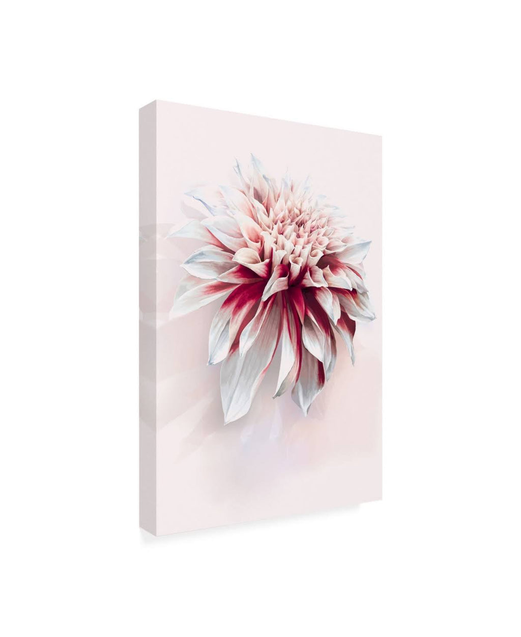 Canvas Art S561