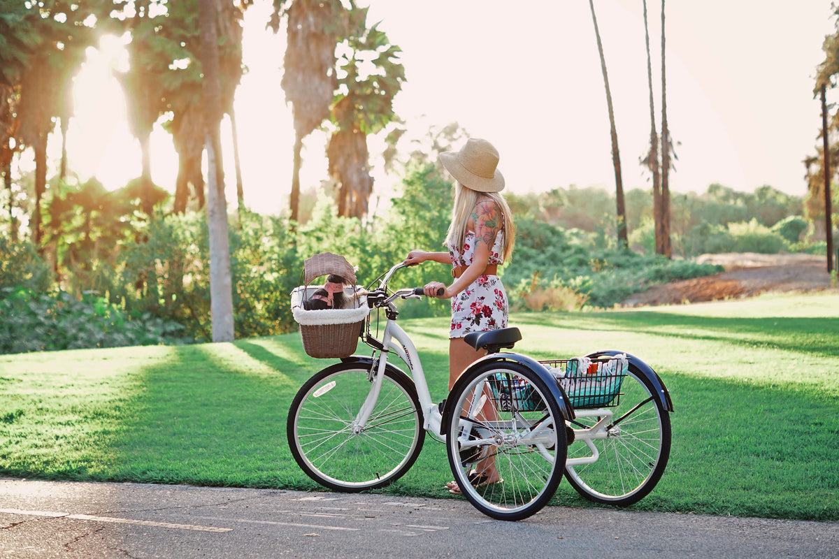 Blue Folding Adult Trike L28365