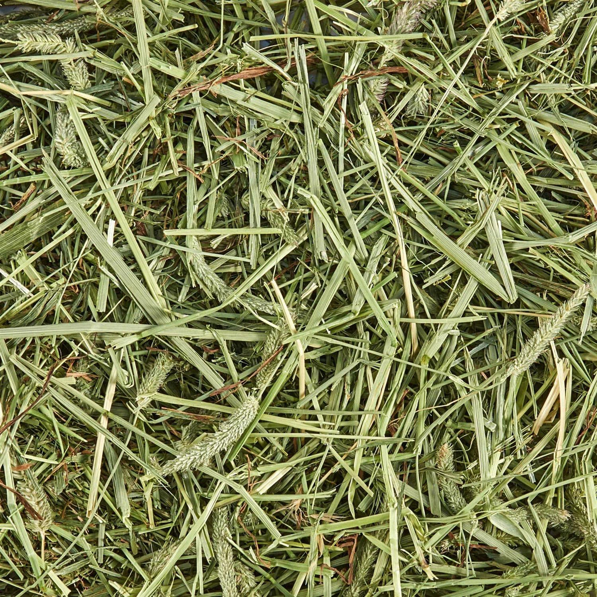 Natural Timothy Hay S154