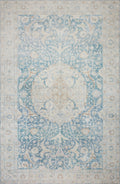 Antique Sky 2'0 x 5'0 Rug G893803