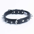 Dog Collar X3335