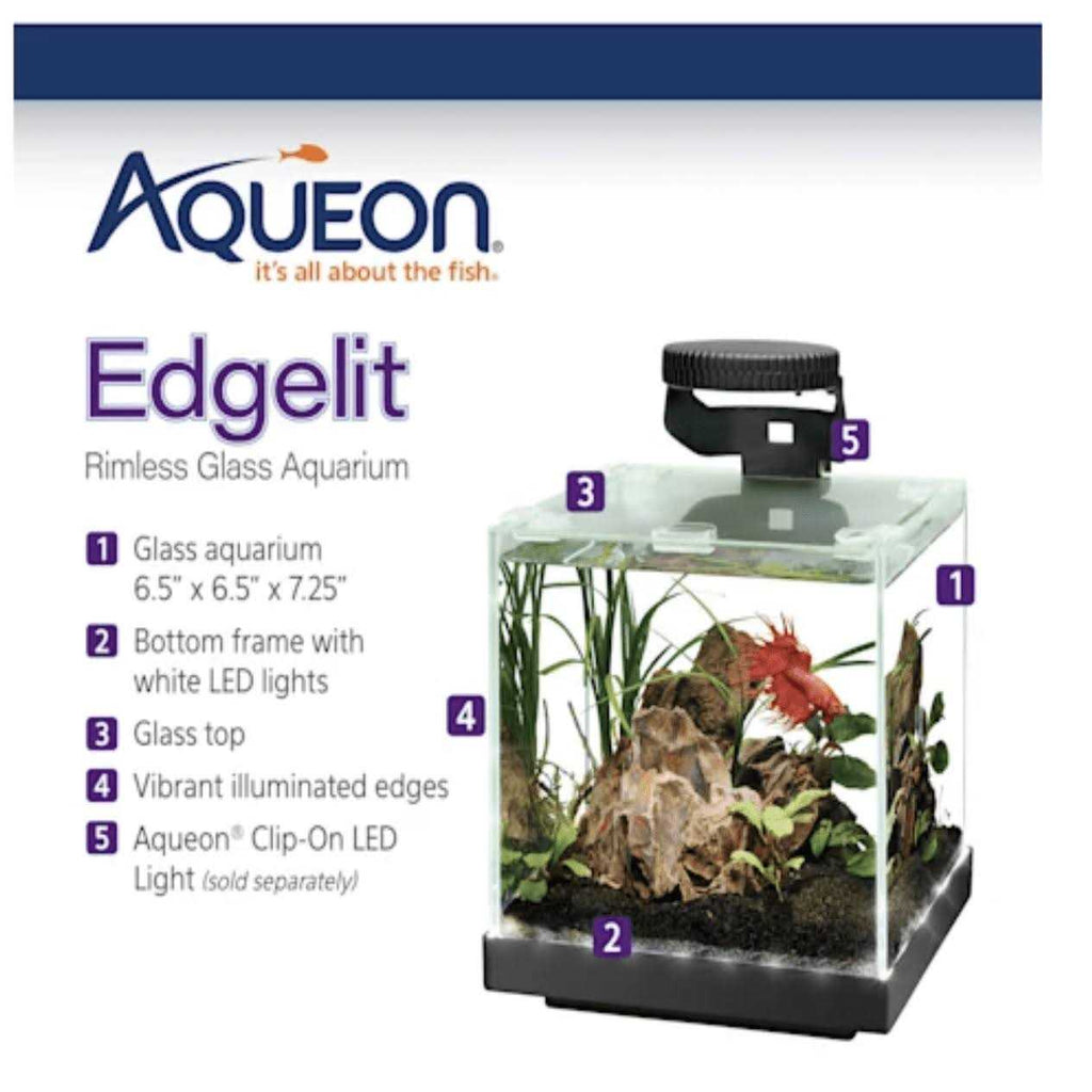 Aquarium P191818