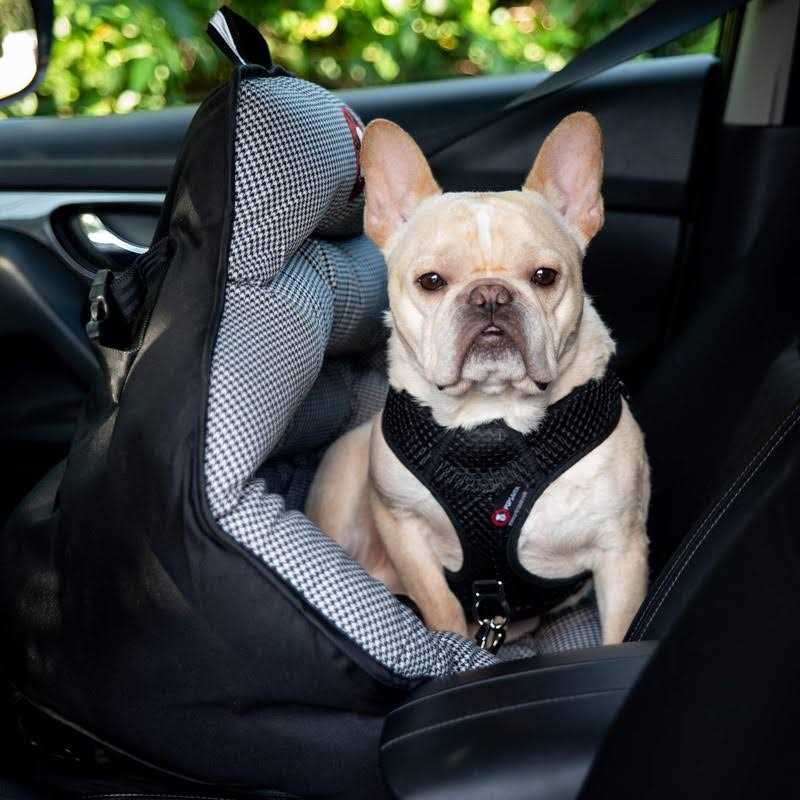 Dog Car Seat for Small and Medium Dogs S642