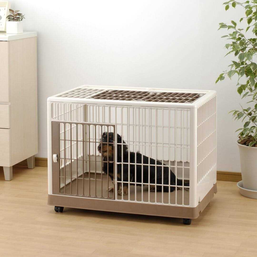 Pet Training Kennel Q64804