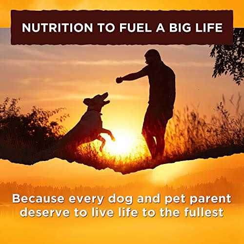 Chicken Recipe Wet Dog Food in Broth Y409343