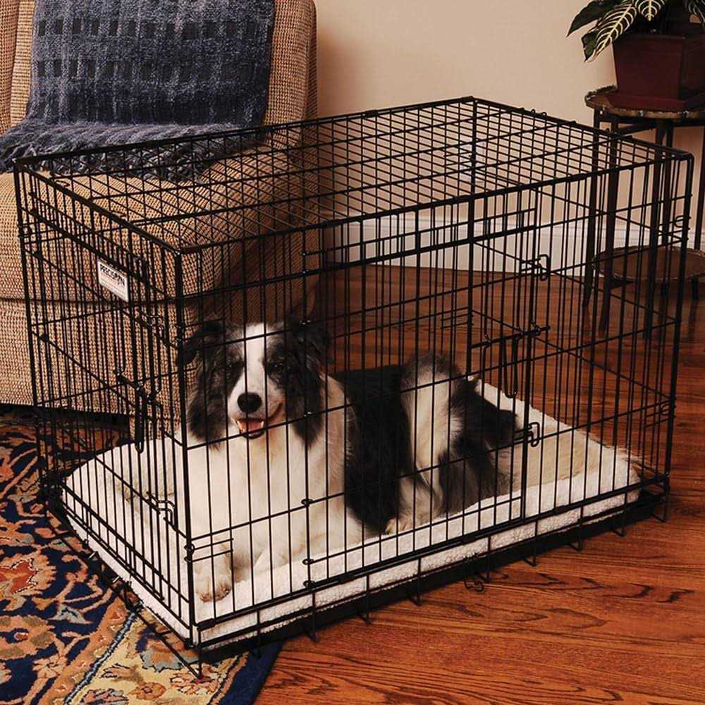 2-Door Pet Crate A387744