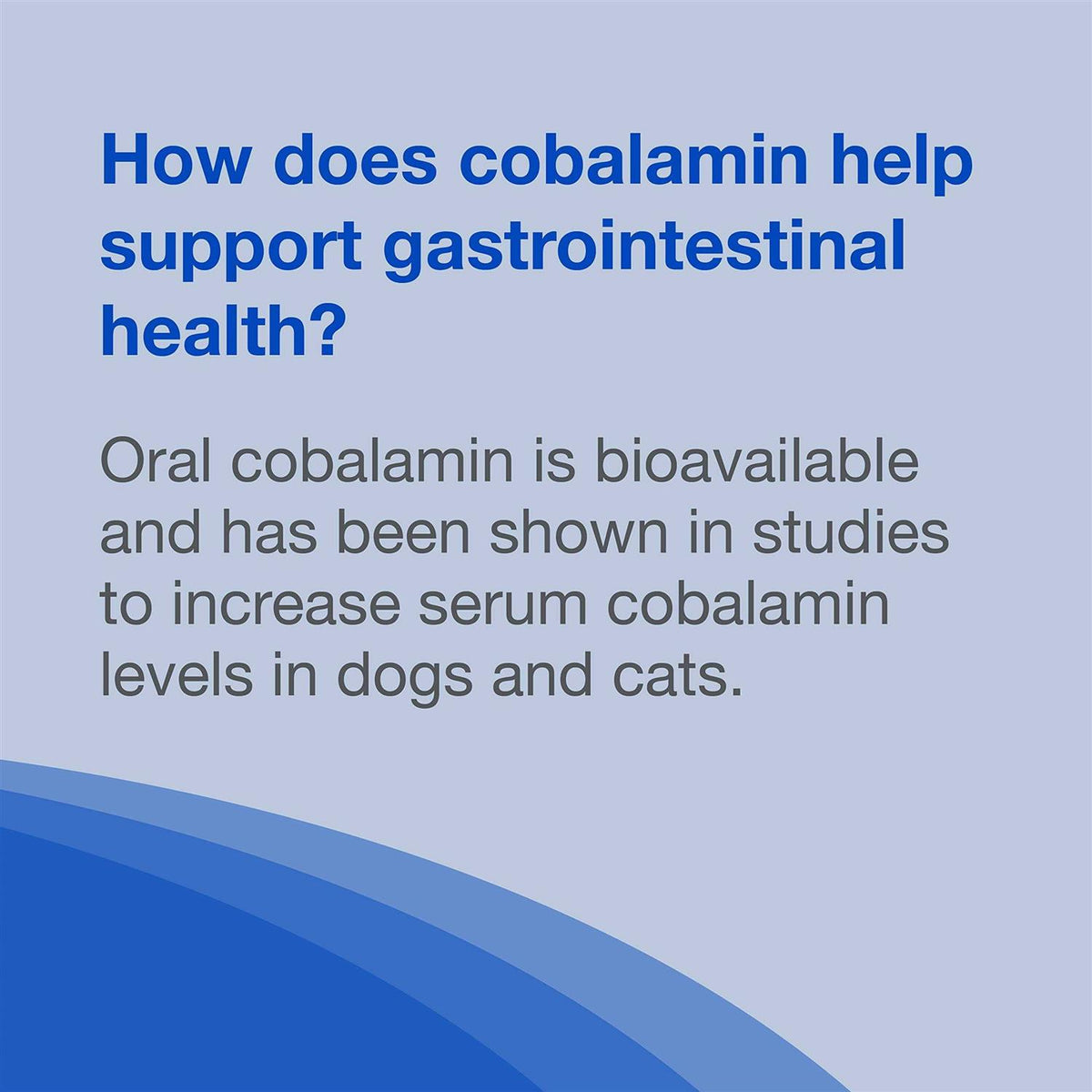 B12 Supplement Dogs T6800