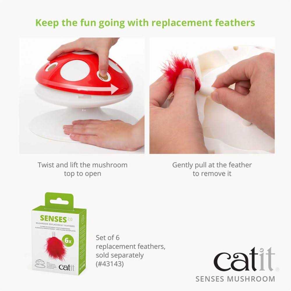 Interactive Cat Toy X975418