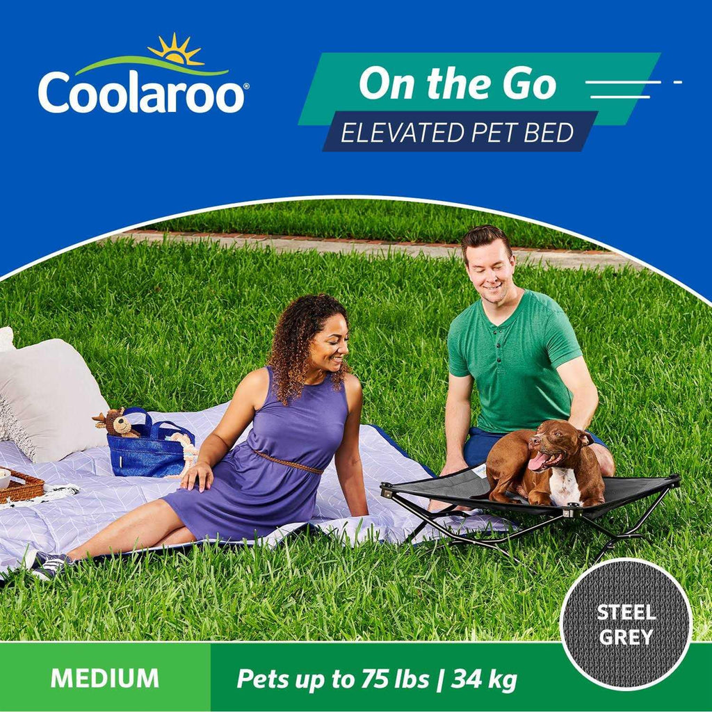 Elevated Pet Bed C46536