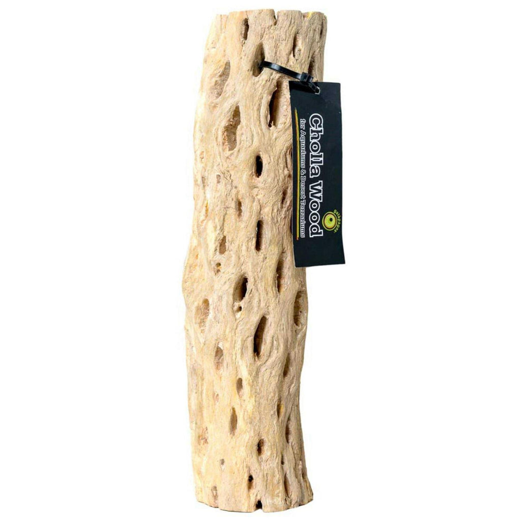Cholla Wood L1241