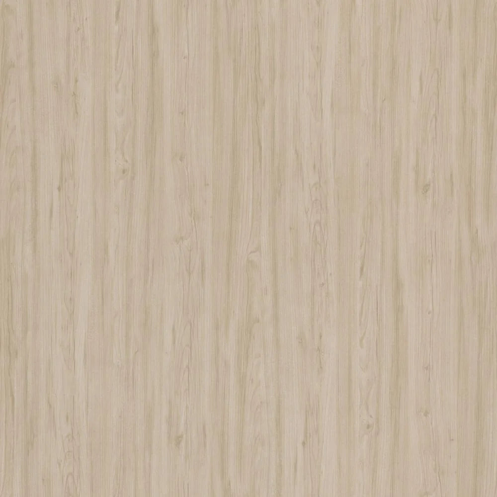 72W Adjustable Standing Desk in Natural Elm Z491215