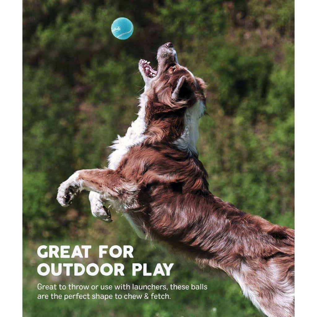 Squeaker Ballz Dog Toy A280