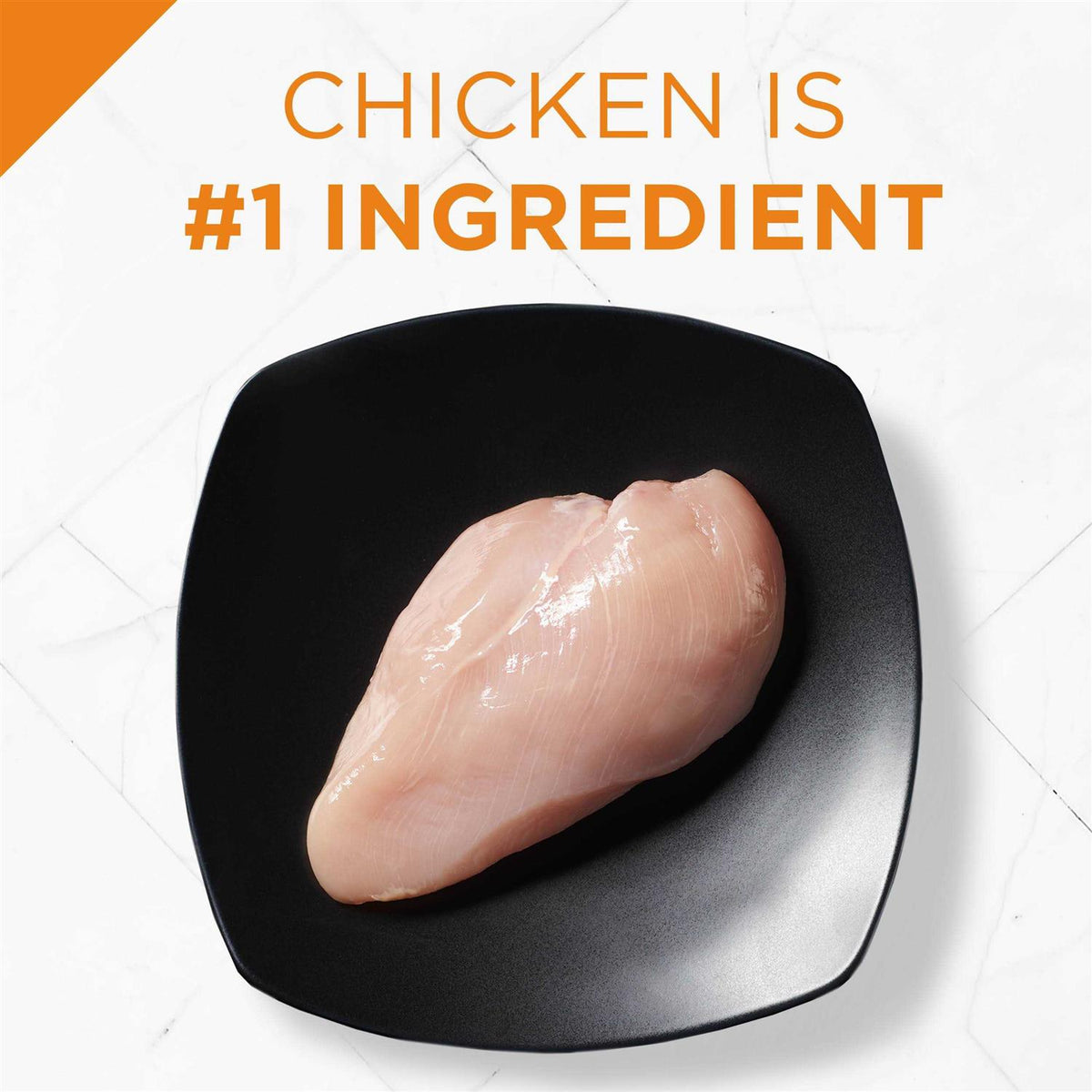 Chicken & Rice Dry Dog Food K6172