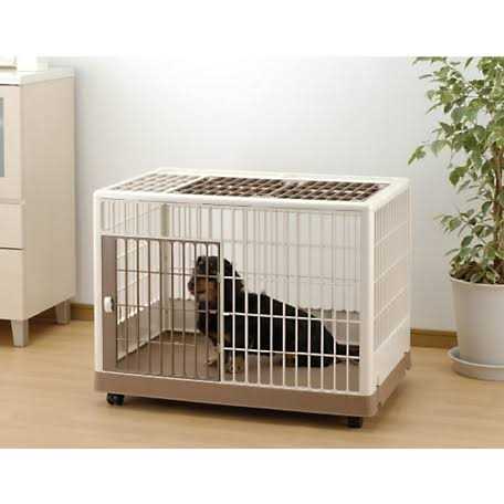Pet Training Kennel Q64804