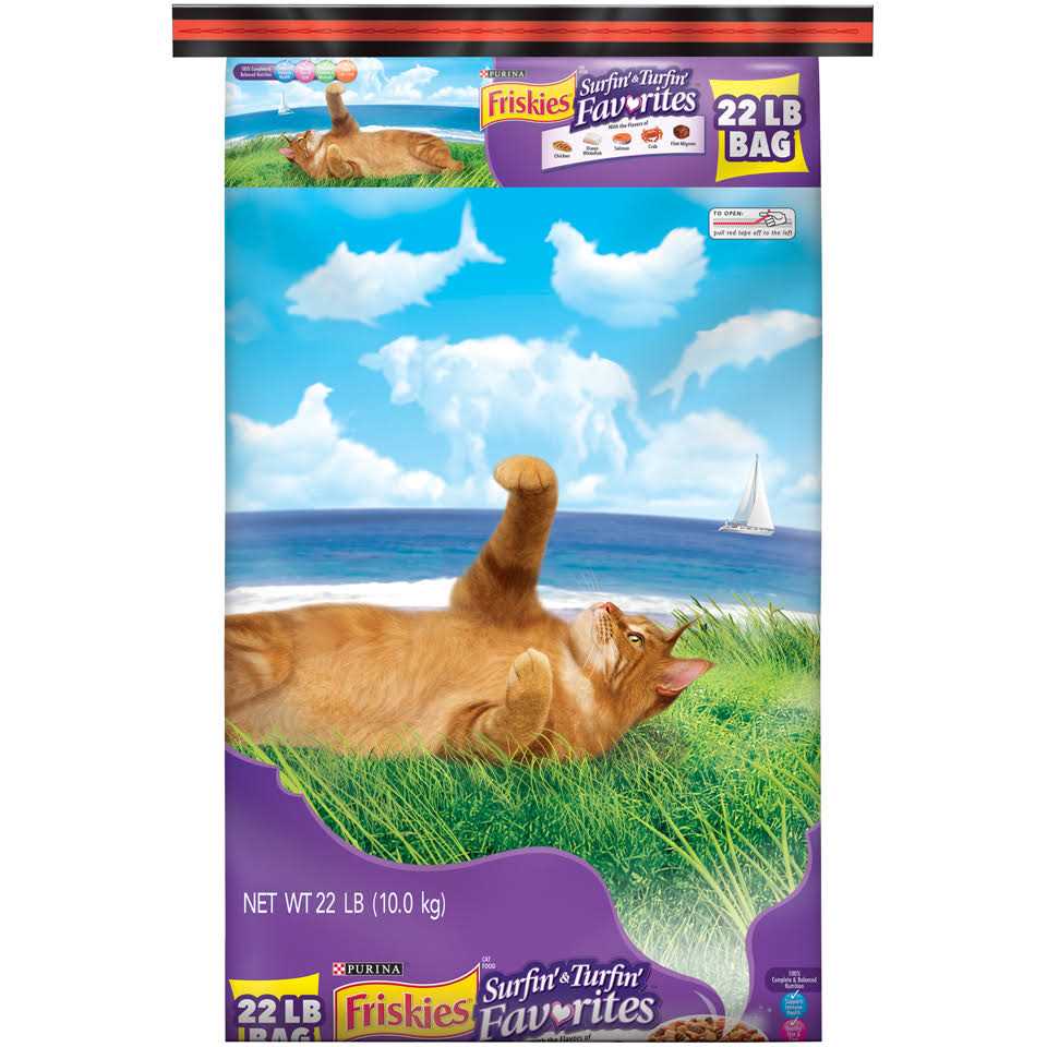 Dry Cat Food T2323